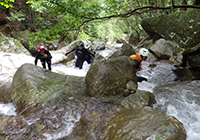 むぎ青空プロジェクトイメージ